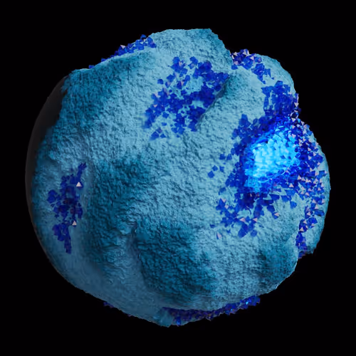 Asm Gen Ii Brains