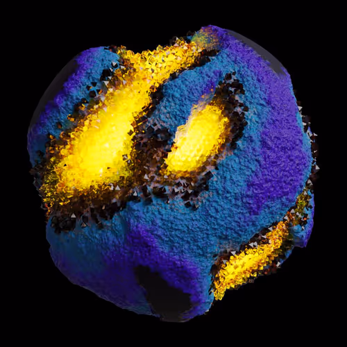 Asm Gen Ii Brains