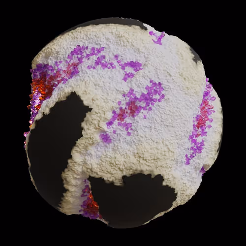 Asm Gen Ii Brains