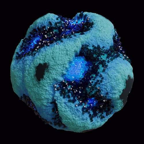 Asm Gen Ii Brains