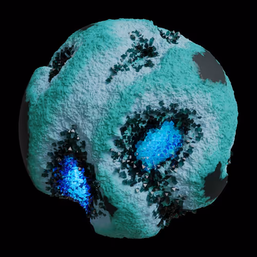 Asm Gen Ii Brains