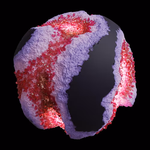 Asm Gen Ii Brains