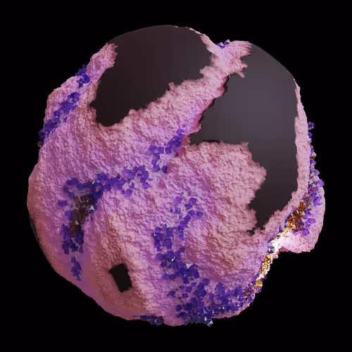 Asm Gen Ii Brains