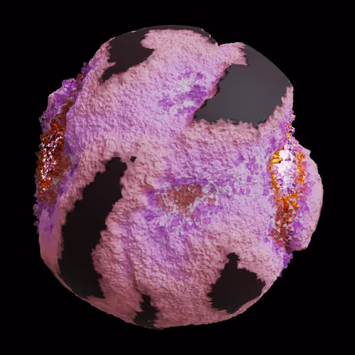 Asm Gen Ii Brains
