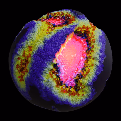 Asm Gen Ii Brains