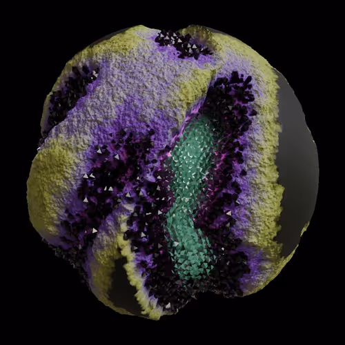 Asm Gen Ii Brains