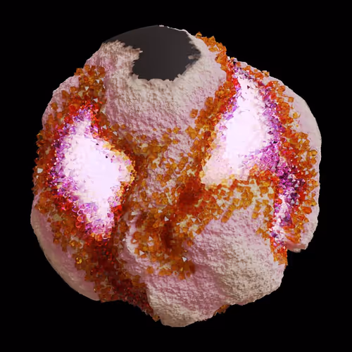 Asm Gen Ii Brains