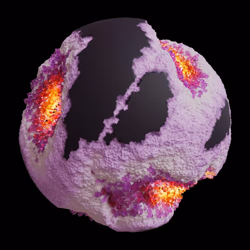 Asm Gen Ii Brains