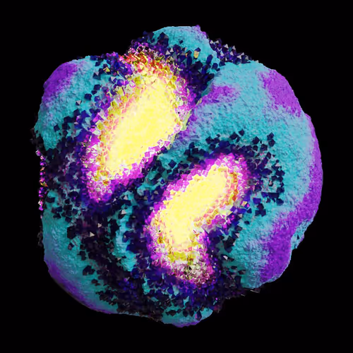 Asm Gen Ii Brains