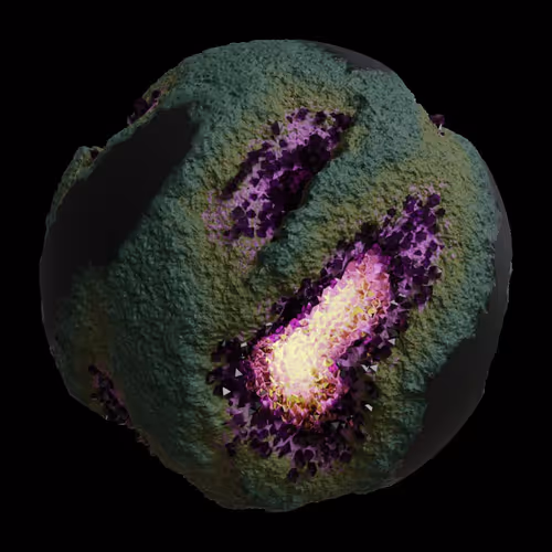Asm Gen Ii Brains