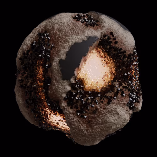 Asm Gen Ii Brains