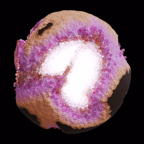 Asm Gen Ii Brains