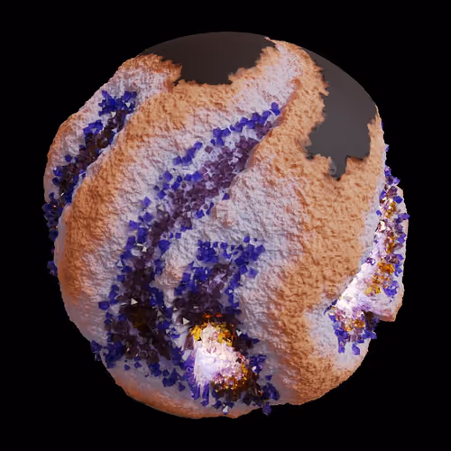 Asm Gen Ii Brains