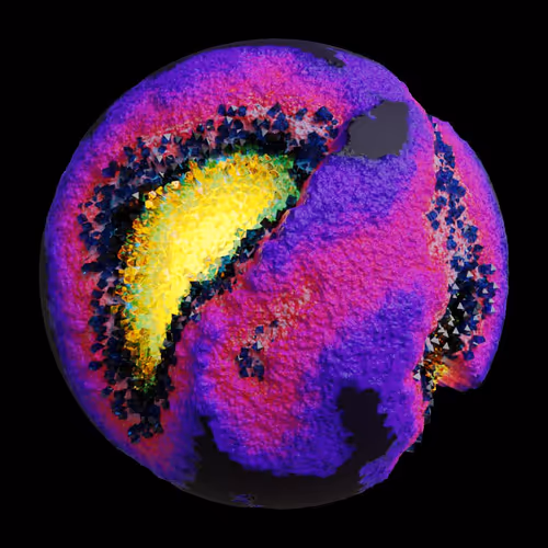 Asm Gen Ii Brains