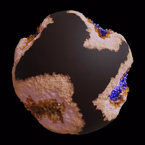 Asm Gen Ii Brains