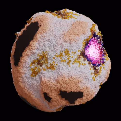 Asm Gen Ii Brains