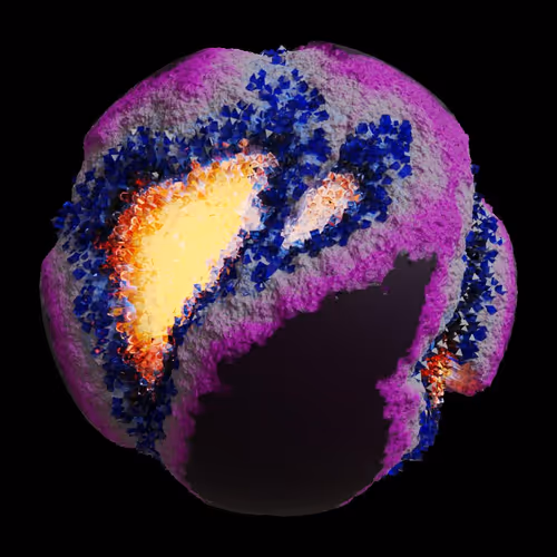 Asm Gen Ii Brains
