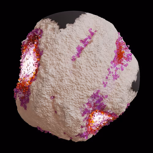 Asm Gen Ii Brains