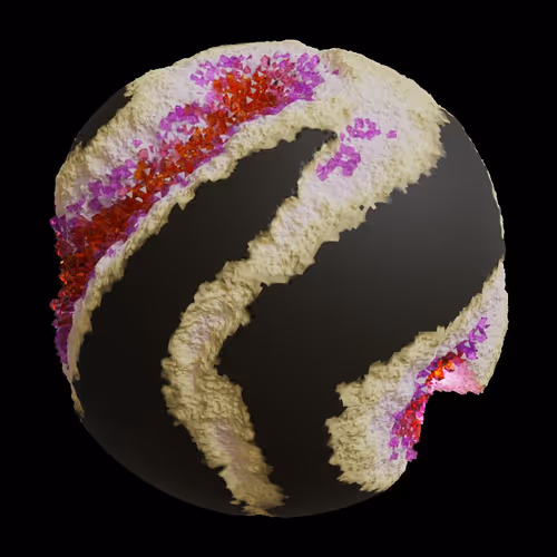 Asm Gen Ii Brains