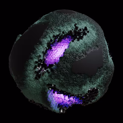 Asm Gen Ii Brains