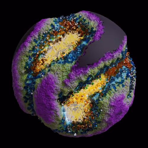 Asm Gen Ii Brains