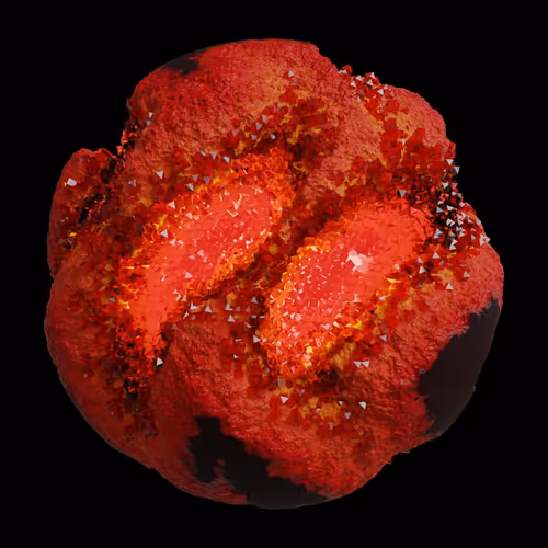 Asm Gen Ii Brains