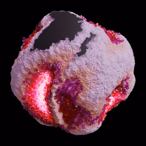 Asm Gen Ii Brains