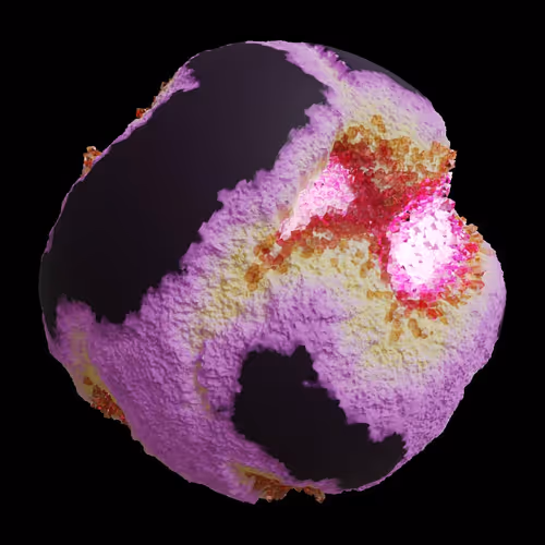Asm Gen Ii Brains