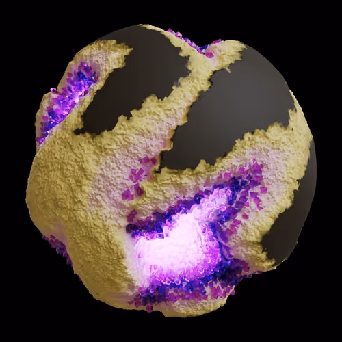 Asm Gen Ii Brains