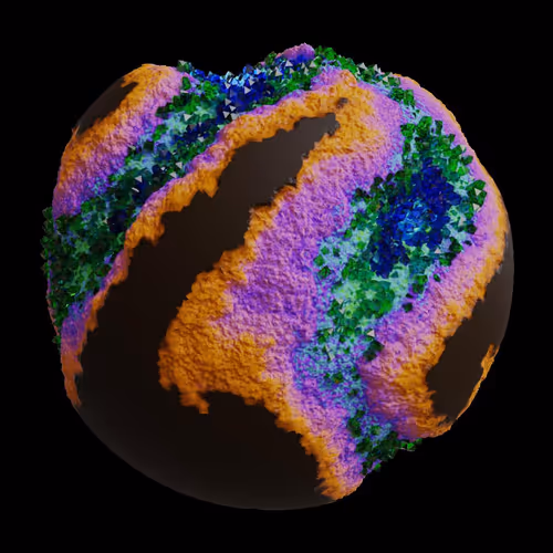 Asm Gen Ii Brains