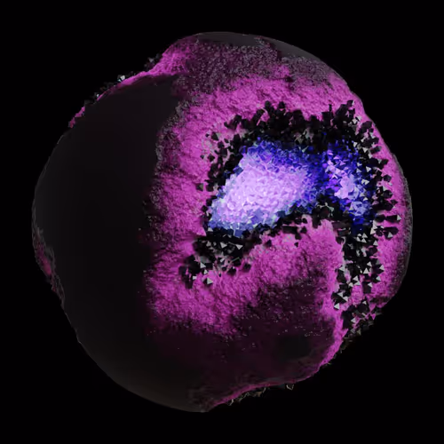 Asm Gen Ii Brains