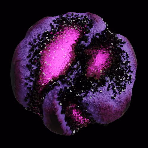 Asm Gen Ii Brains