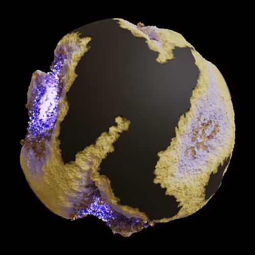 Asm Gen Ii Brains
