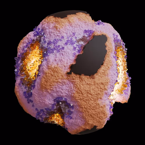 Asm Gen Ii Brains