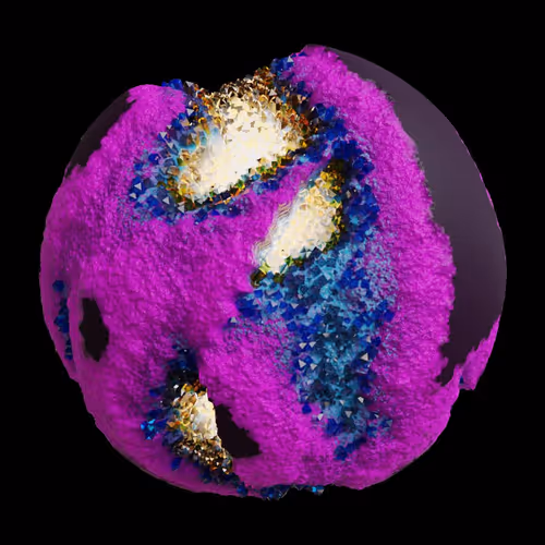 Asm Gen Ii Brains