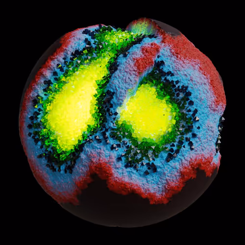 Asm Gen Ii Brains