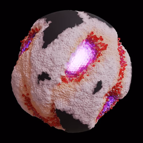 Asm Gen Ii Brains