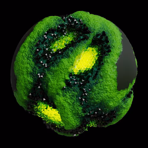 Asm Gen Ii Brains