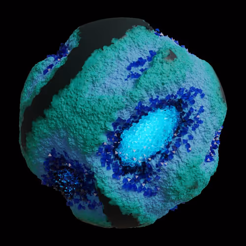 Asm Gen Ii Brains