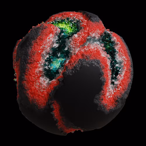 Asm Gen Ii Brains