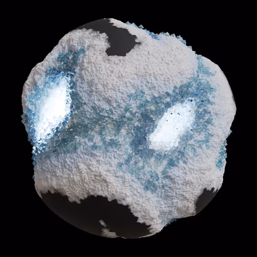 Asm Gen Ii Brains