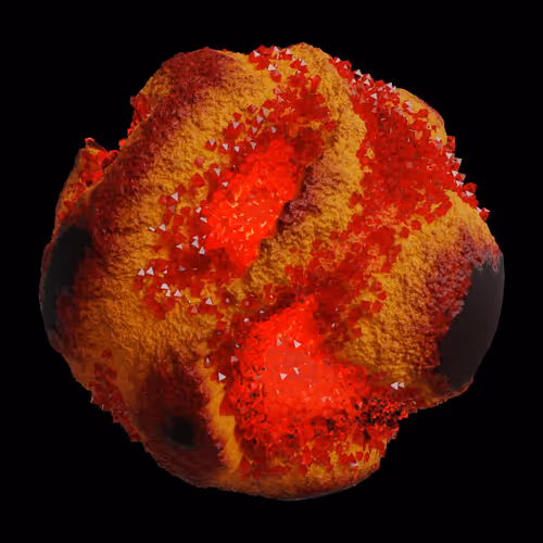 Asm Gen Ii Brains