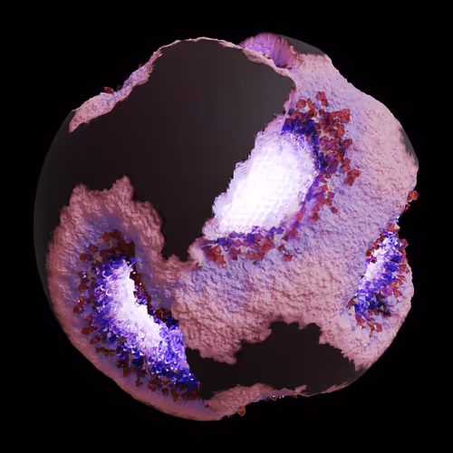 Asm Gen Ii Brains