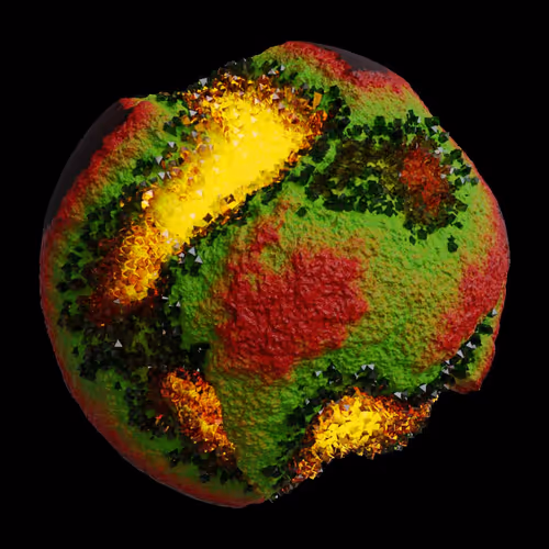 Asm Gen Ii Brains