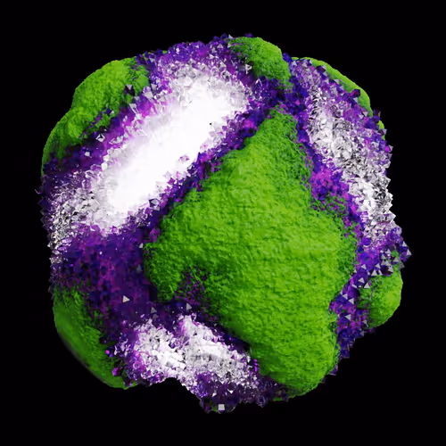 Asm Gen Ii Brains