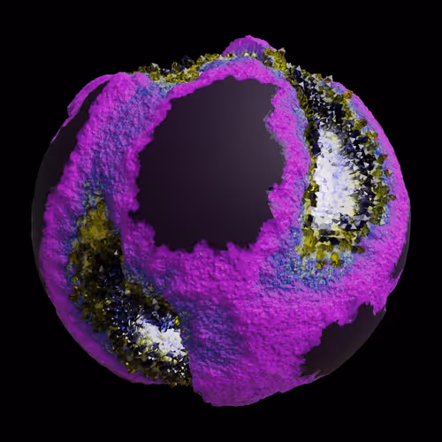 Asm Gen Ii Brains