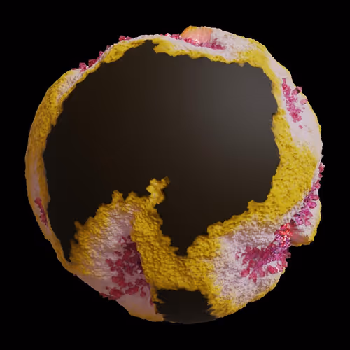 Asm Gen Ii Brains