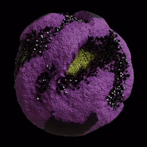 Asm Gen Ii Brains