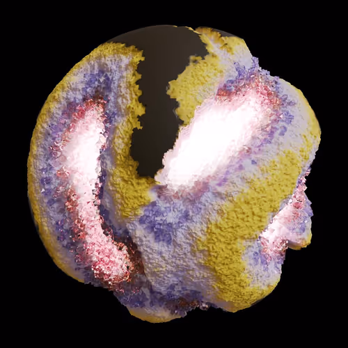 Asm Gen Ii Brains