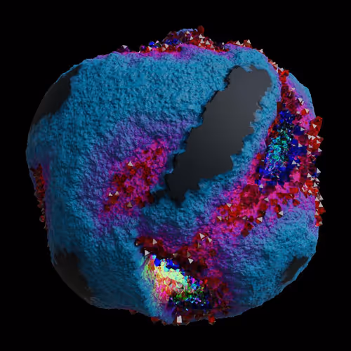 Asm Gen Ii Brains